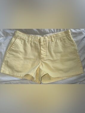 American Eagle Shorts size 4